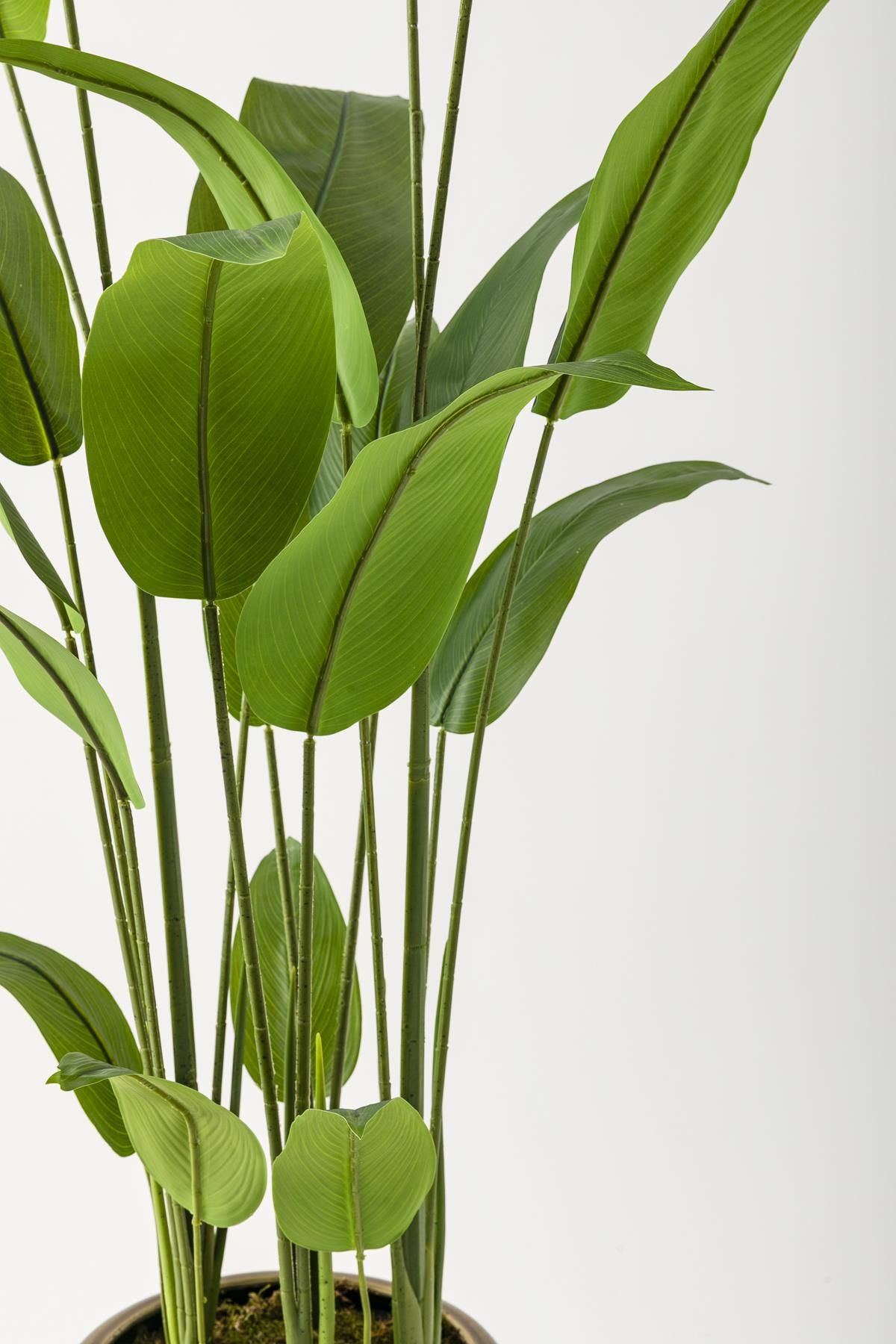 Yapay Starliçe Ağacı 230 Cm Kahverengi Eskitme Damla Saksı