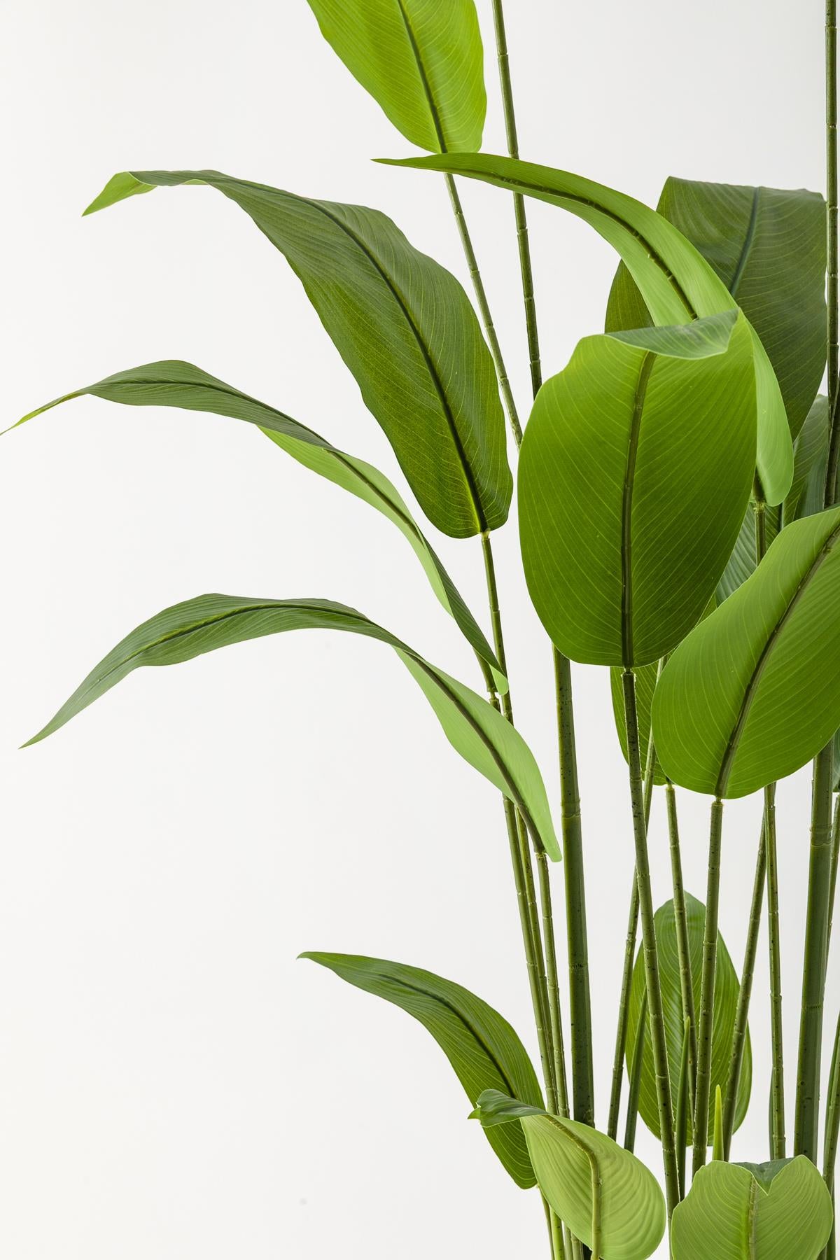 Yapay Starliçe Ağacı 230 Cm Kahverengi Eskitme Damla Saksı