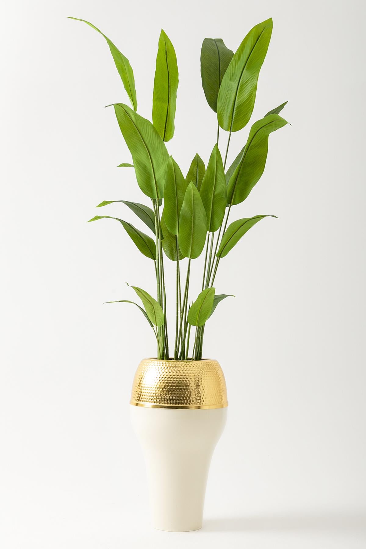 Yapay Starliçe Ağacı 230 Cm Krem Gold Geniş Bilezkli Damla Saksı