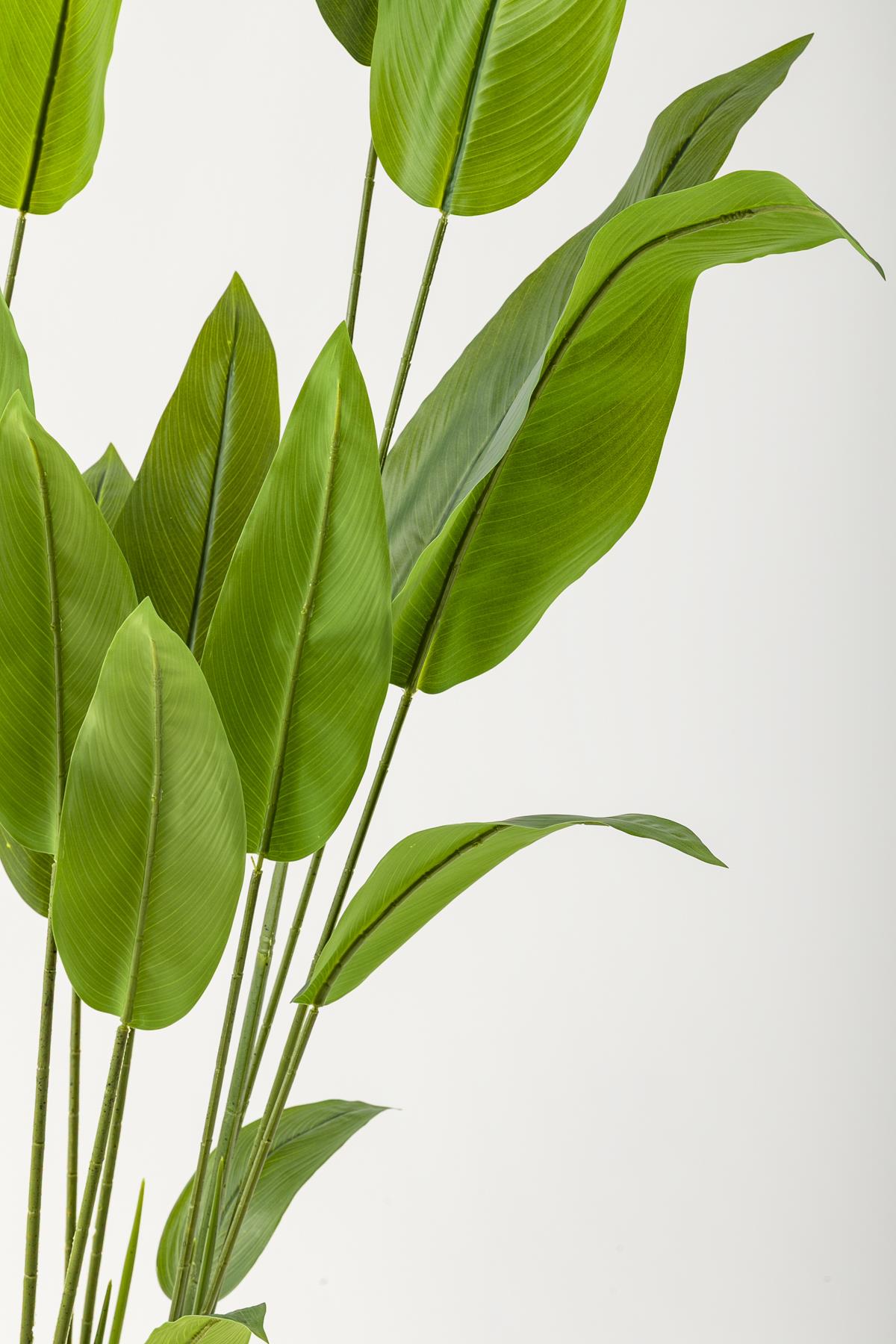 Yapay Starliçe Ağacı 230 Cm Krem Gold Geniş Bilezkli Damla Saksı