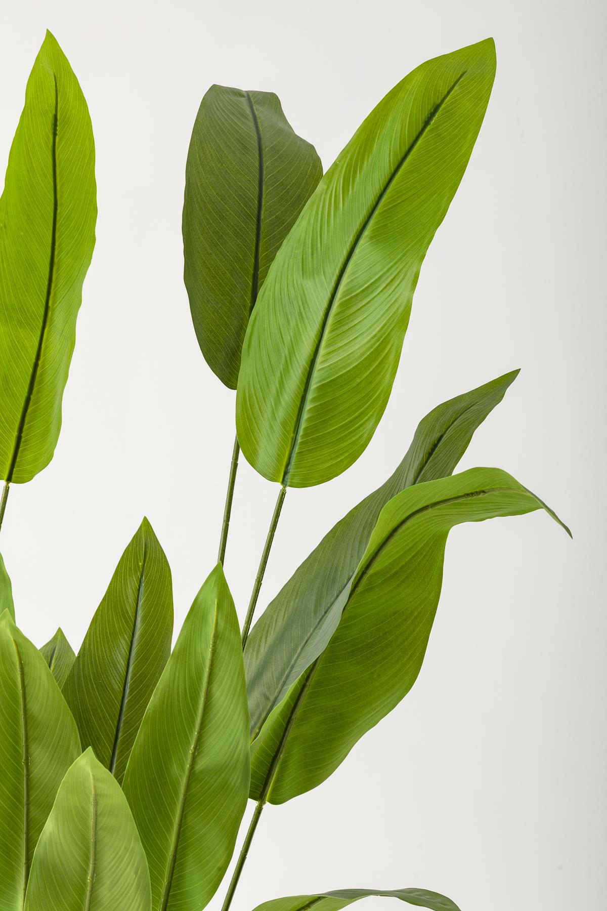 Yapay Starliçe Ağacı 230 Cm Krem Gold Geniş Bilezkli Damla Saksı