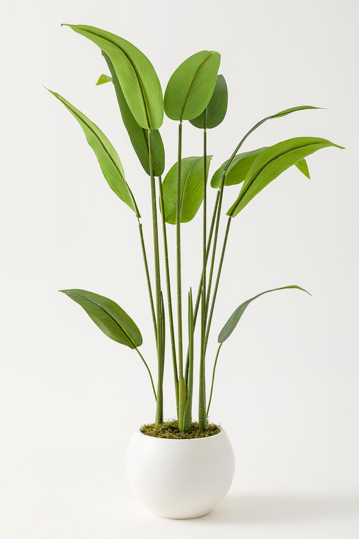 Yapay Starliçe Ağacı