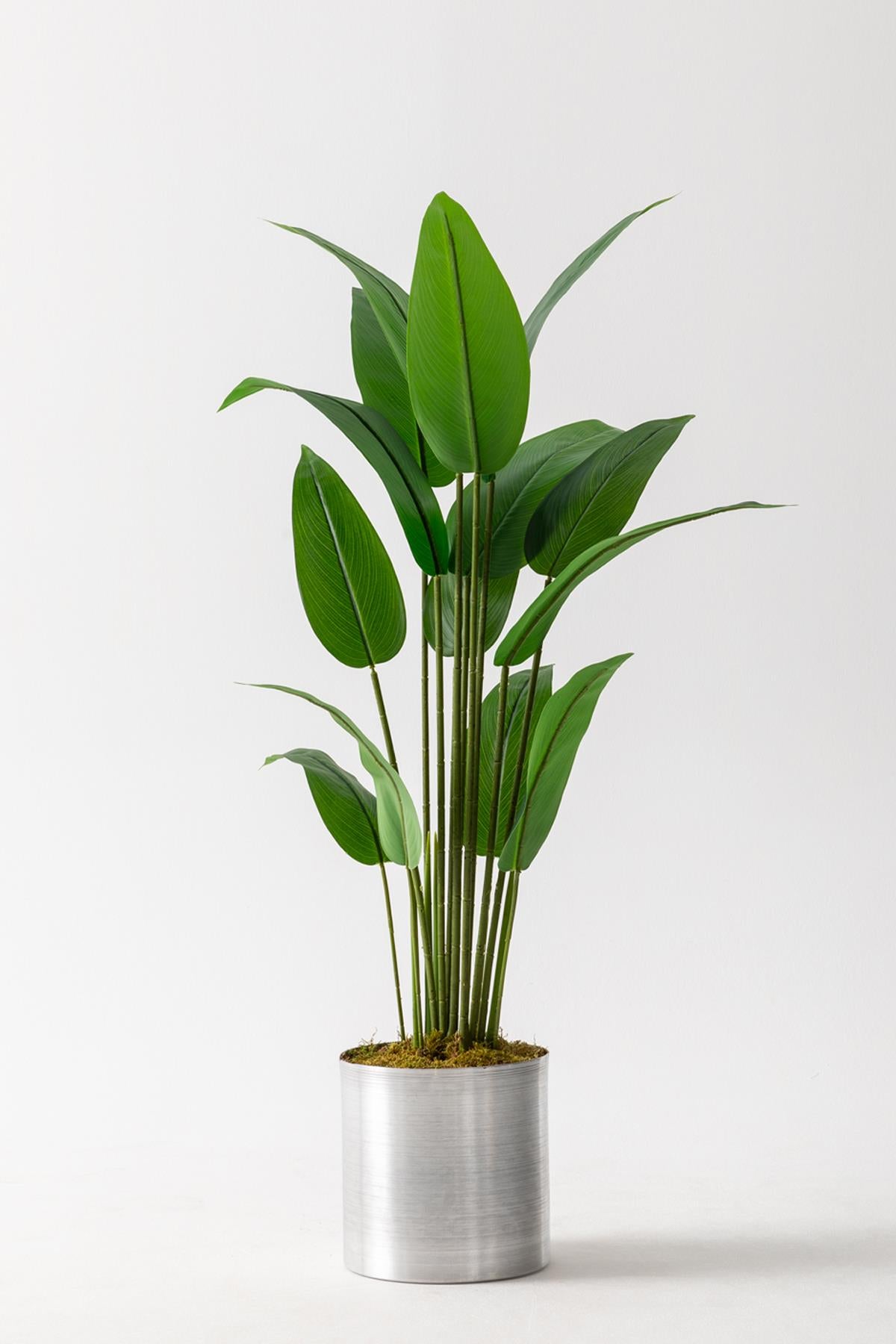 Yapay Starliçe Ağacı