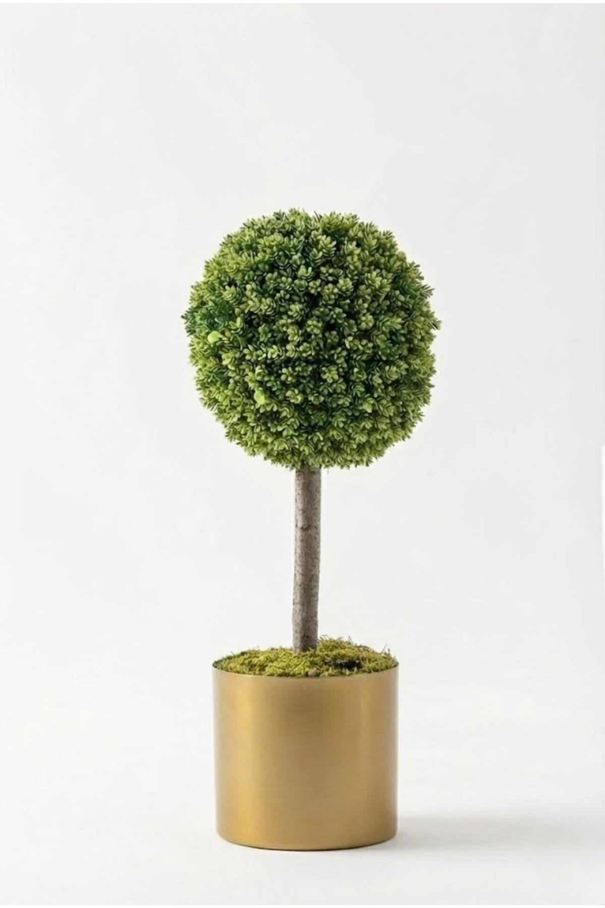 Yapay Top Çamdalı Ağacı