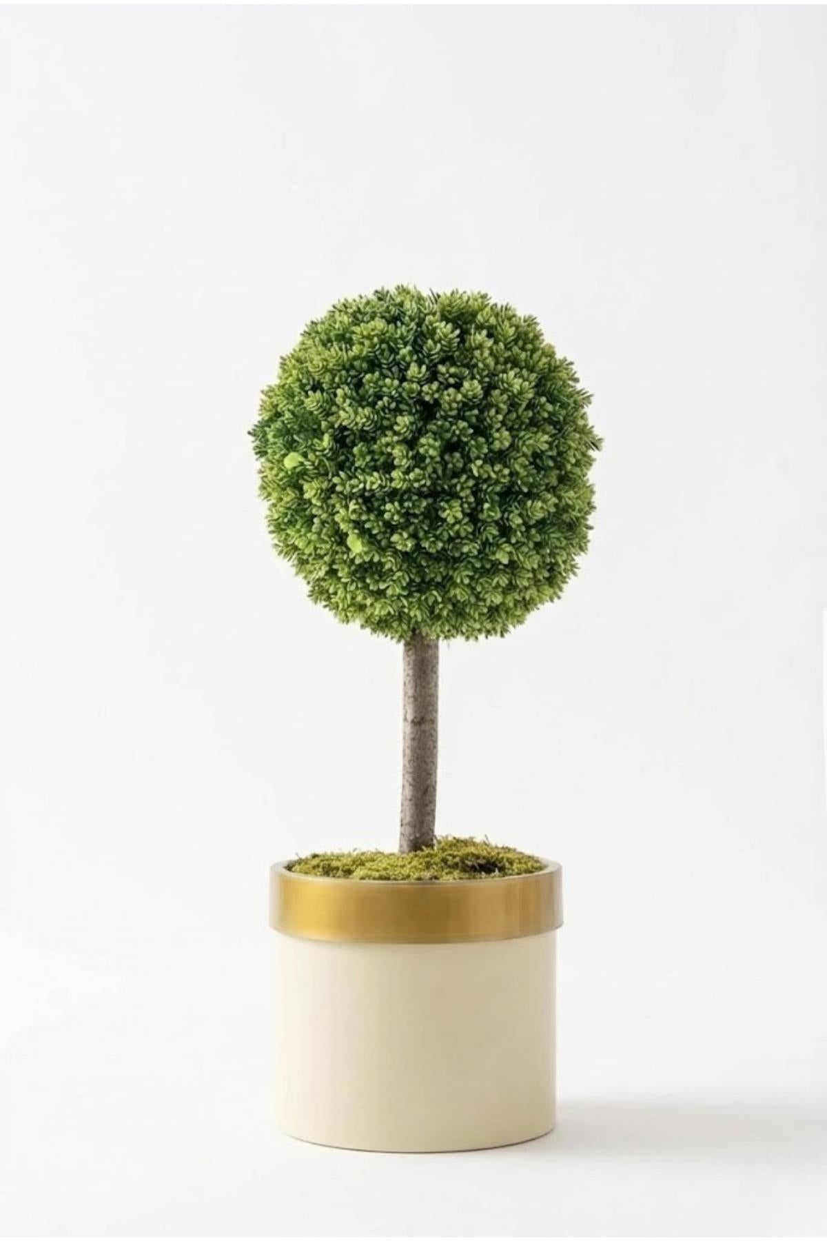 Yapay Top Çamdalı Ağacı