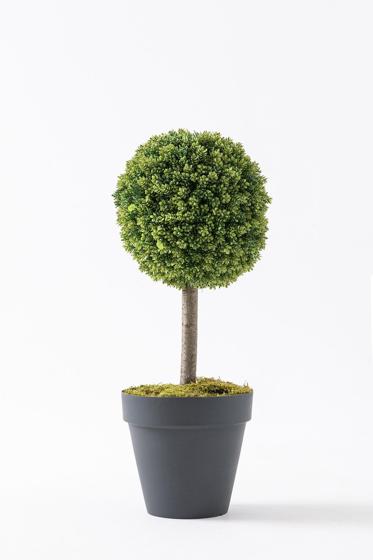 Yapay Top Çamdalı Ağacı Tekli 70 Cm(Uv)