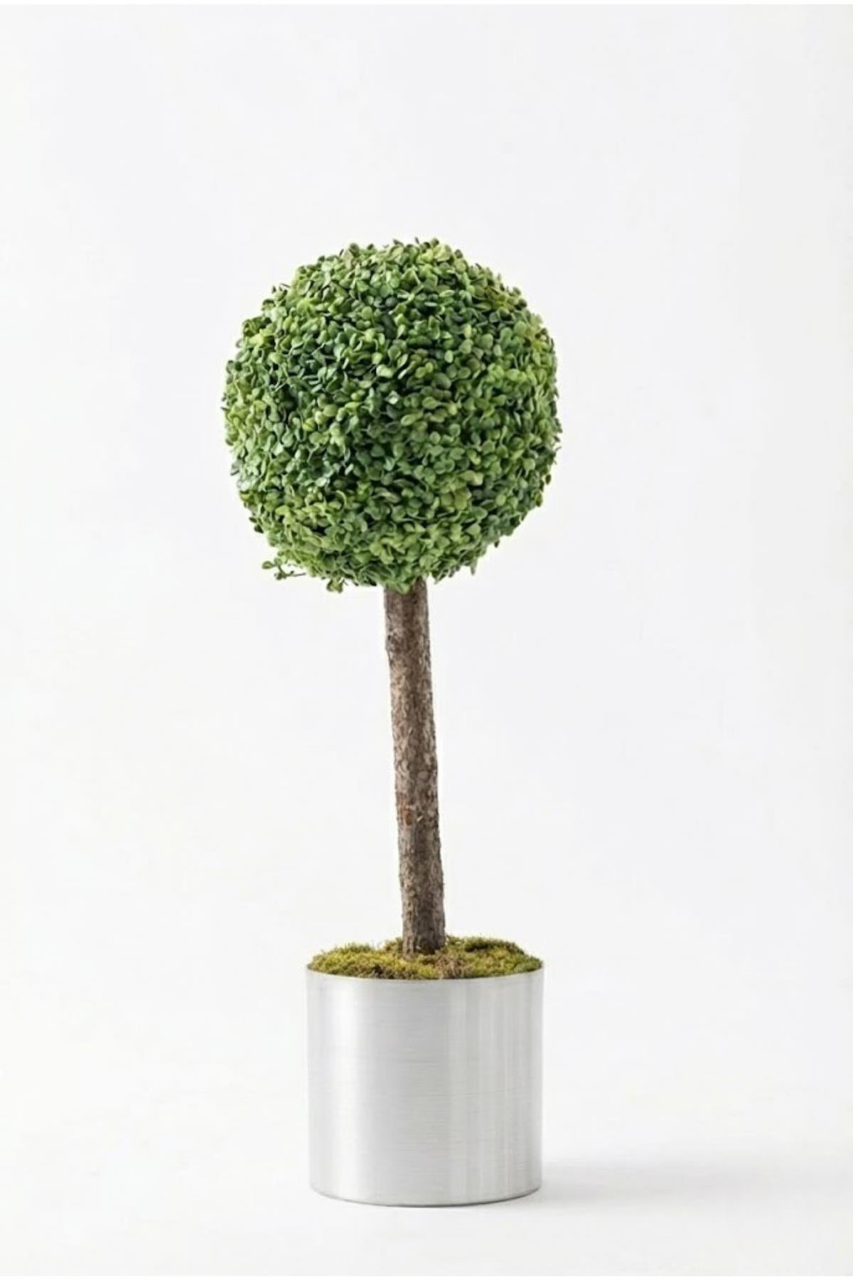 Yapay Top Şimşir Ağacı