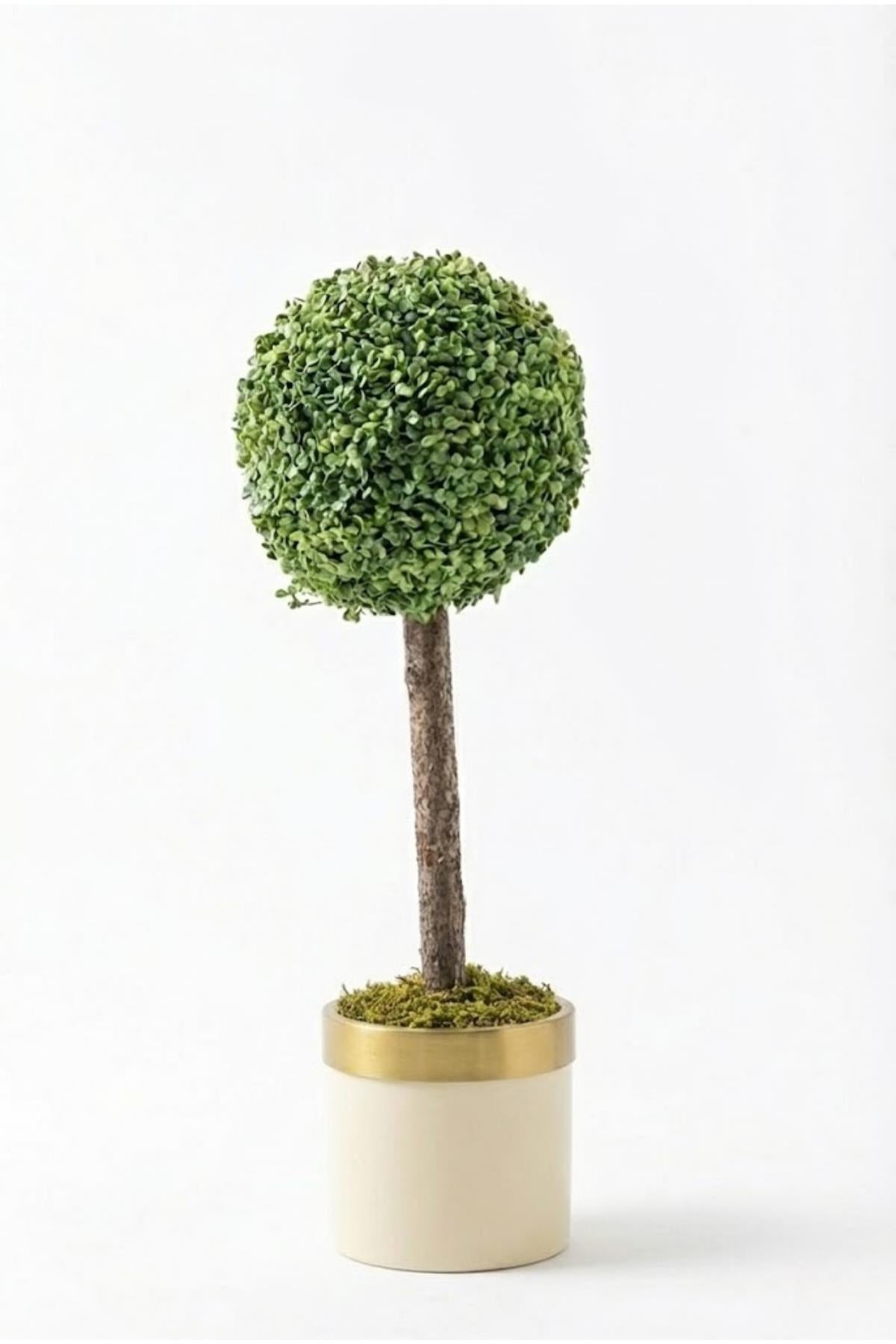 Yapay Top Şimşir Ağacı