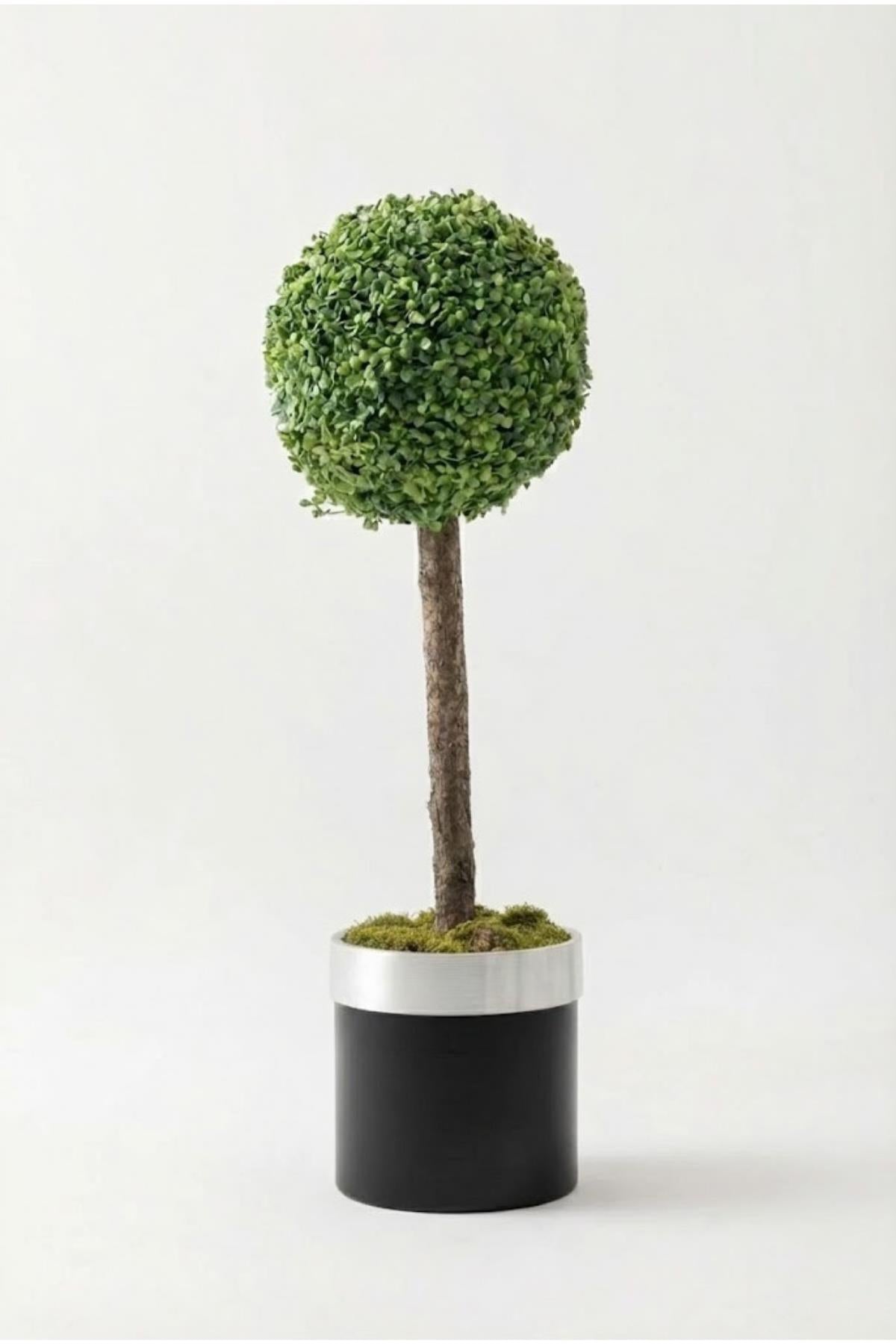 Yapay Top Şimşir Ağacı