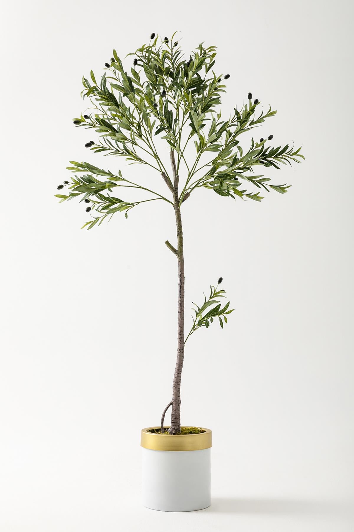 Yapay Zeytin Ağacı 160 Cm Beyaz Gold Metal Saksı