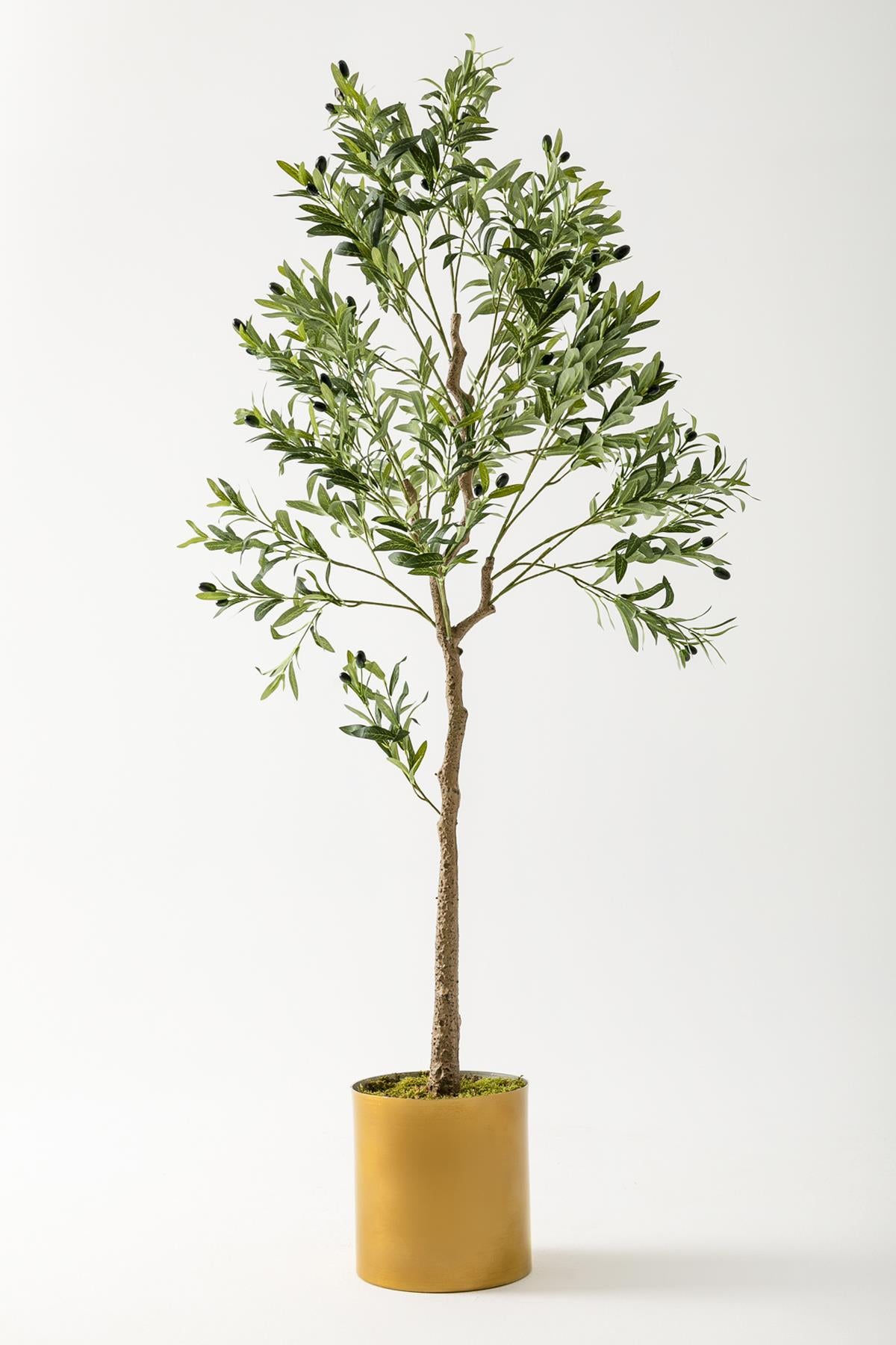 Yapay Zeytin Ağacı 175 Cm Gold Metal Saksı