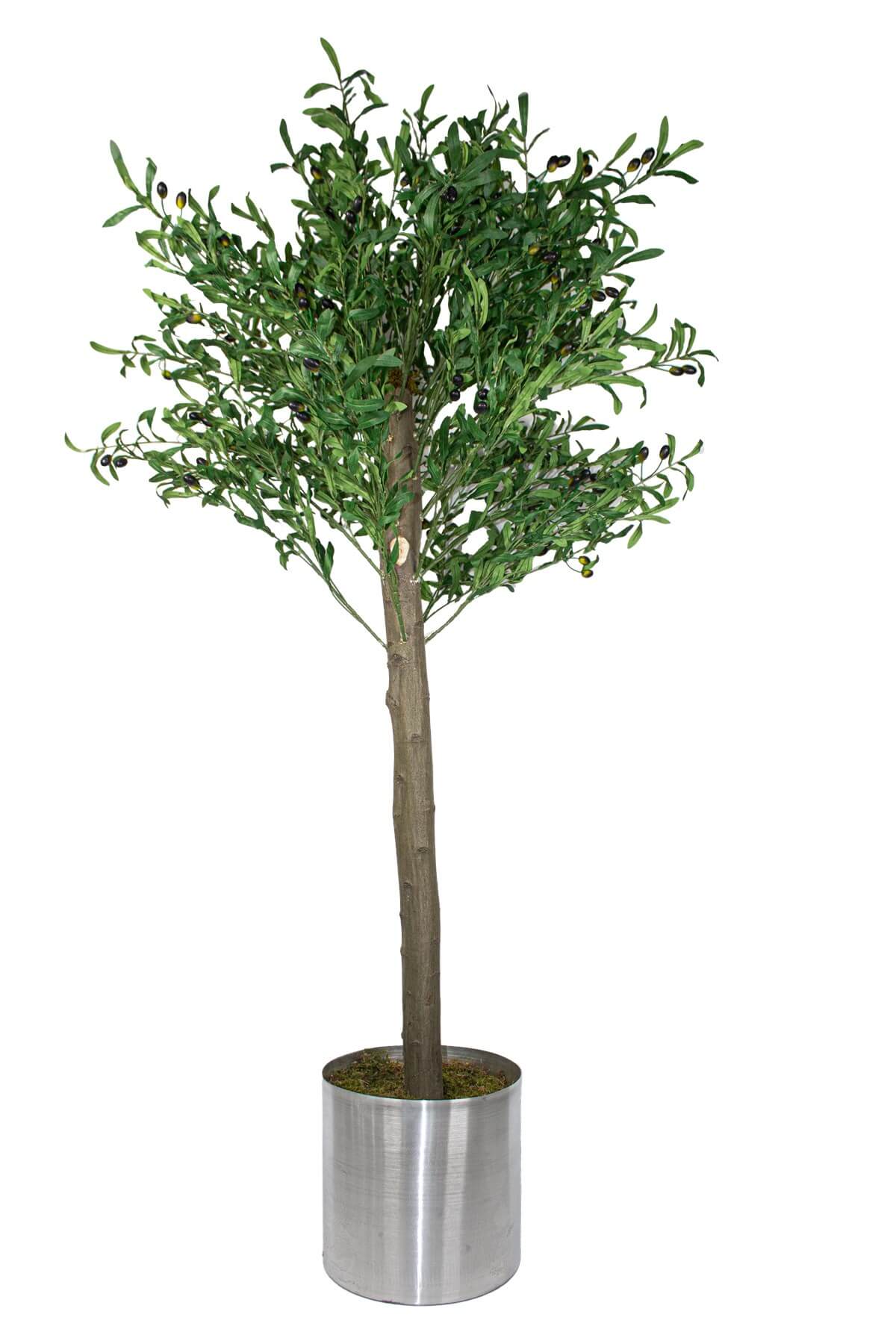 Yapay Zeytin Ağacı 200 Cm