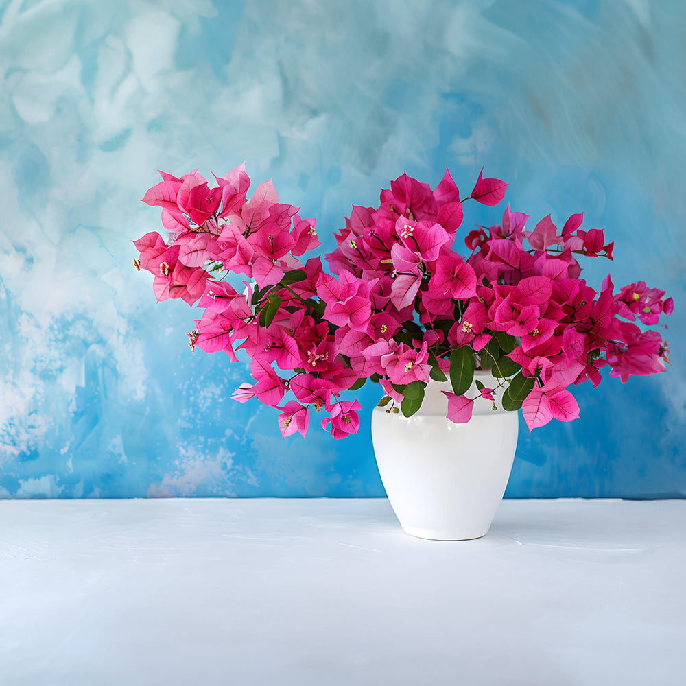 Ev Dekorasyonunda Yapay Begonvil Çiçeği Mucizesi