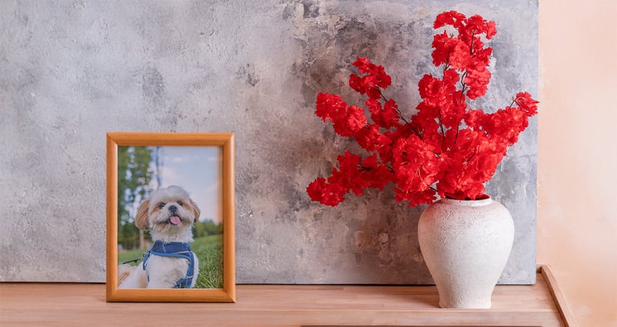 Yapay Bitki Düzenlemesi Nasıl Yapılır?