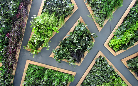 Yapay Sarmaşık Hakkında Bilmeniz Gerekenler