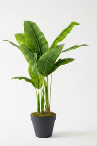 Yapay Muz Ağacı 140 Cm Plastik Saksı