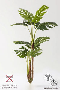 Yapay Deve Tabanı(Monstera) Ağacı 170 cm Saksısız