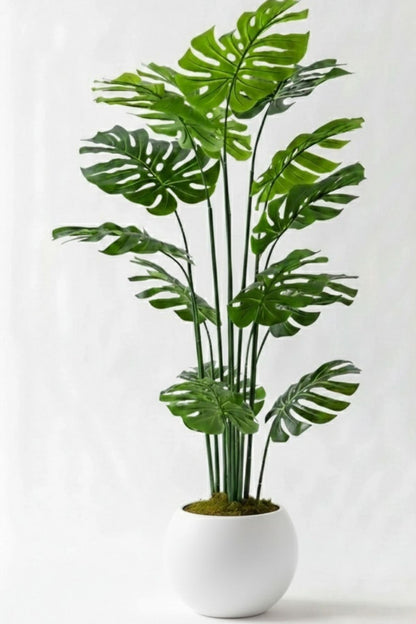 Yapay Deve Tabanı(Monstera) Ağacı