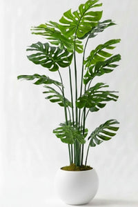 Yapay Deve Tabanı(Monstera) Ağacı