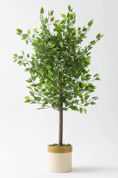 Yapay Benjamin Ağacı