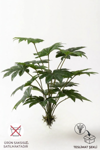 Yapay Salon Köşe Çiçeği Japon Çınar 80 Cm Saksısız