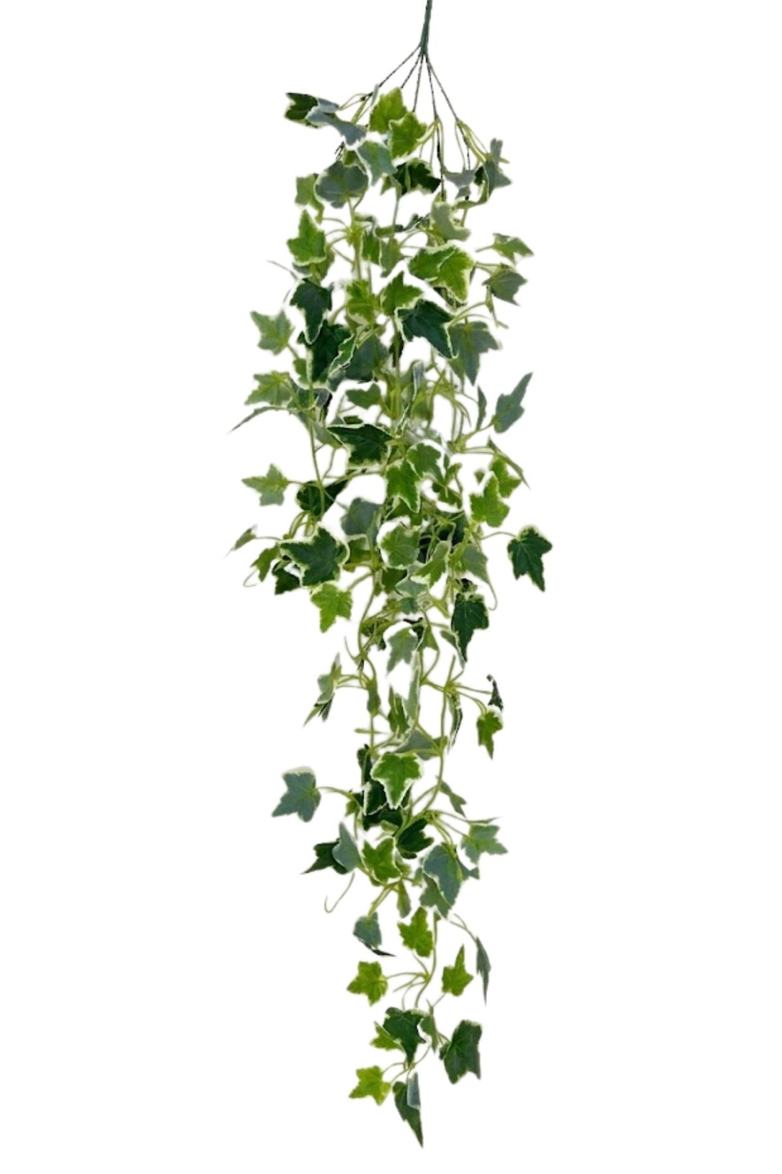 Yapay Sarmaşık Beyaz Hedera 90 Cm