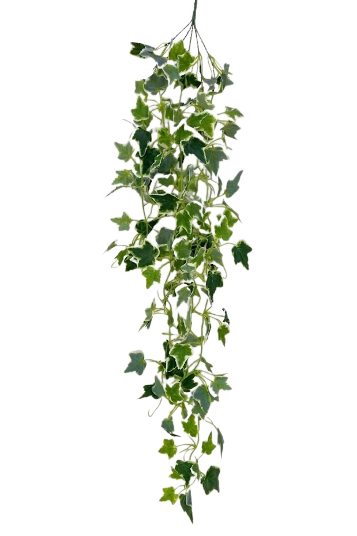Yapay Sarmaşık Beyaz Hedera 90 Cm