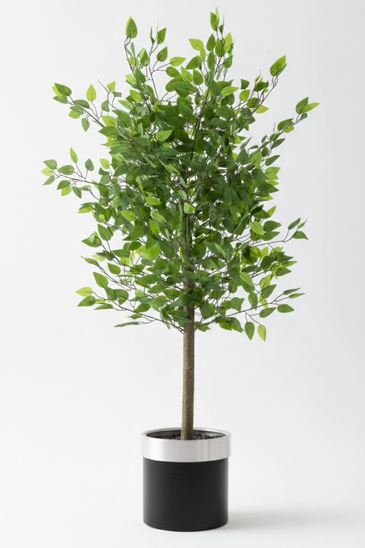 Yapay Benjamin Ağacı