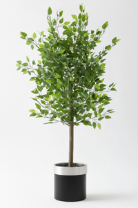 Yapay Benjamin Ağacı