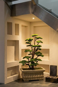 Yapay Lüx Bonsai Ağacı Fiber Saksı 200 cm 58 Dal