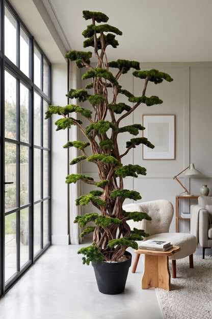 Premium Dev Bonsai Ağacı 3 Metre