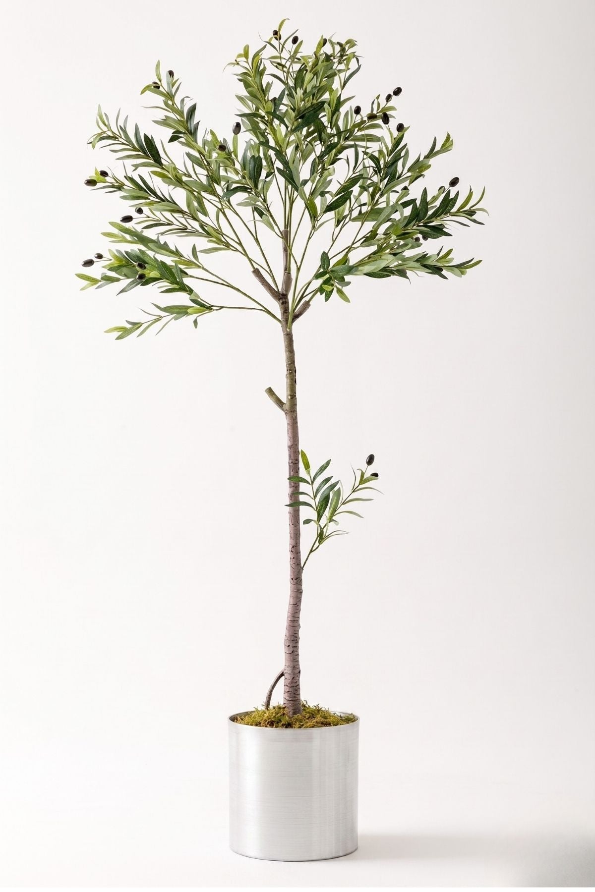 Yapay Zeytin Ağacı 160 Cm Metal Saksı