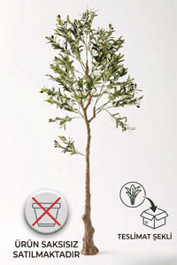 Yapay Zeytin Ağacı 175 Cm Saksısız