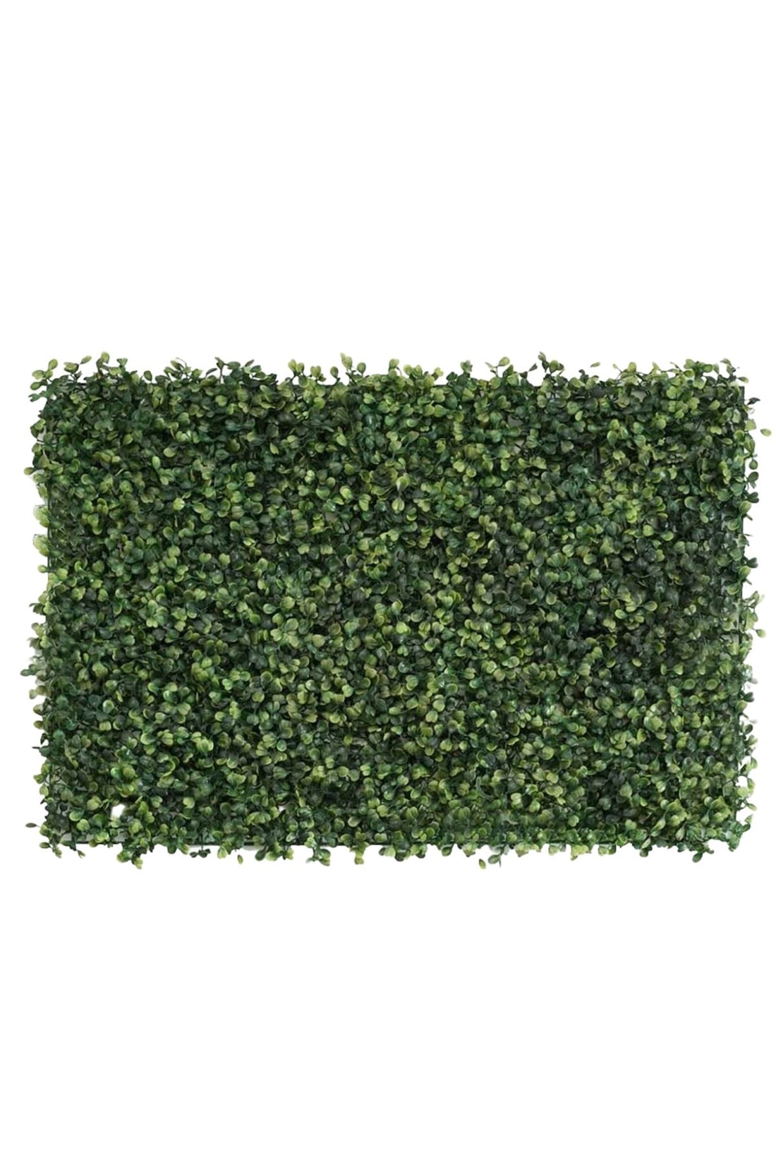 Yapay Duvar Paneli Şimşir 40*60