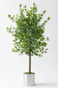 Yapay Benjamin Ağacı