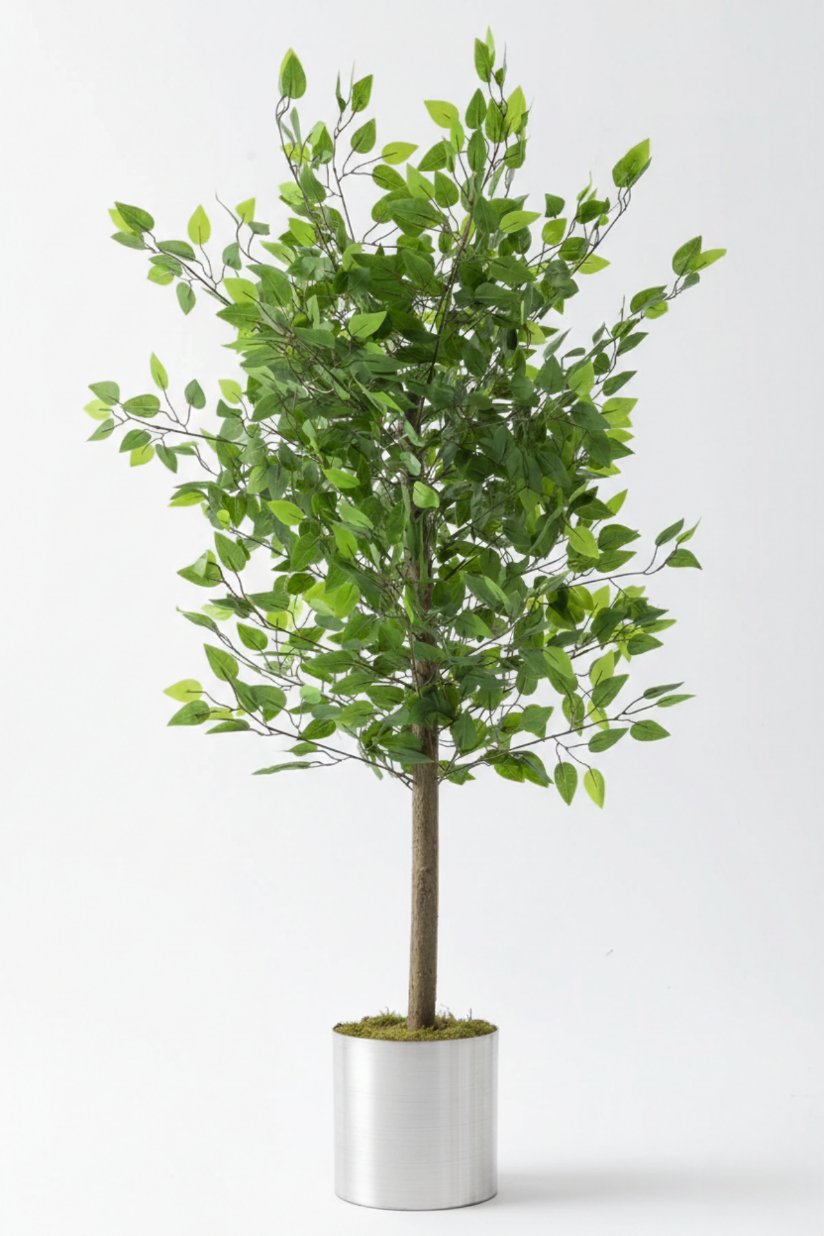 Yapay Benjamin Ağacı