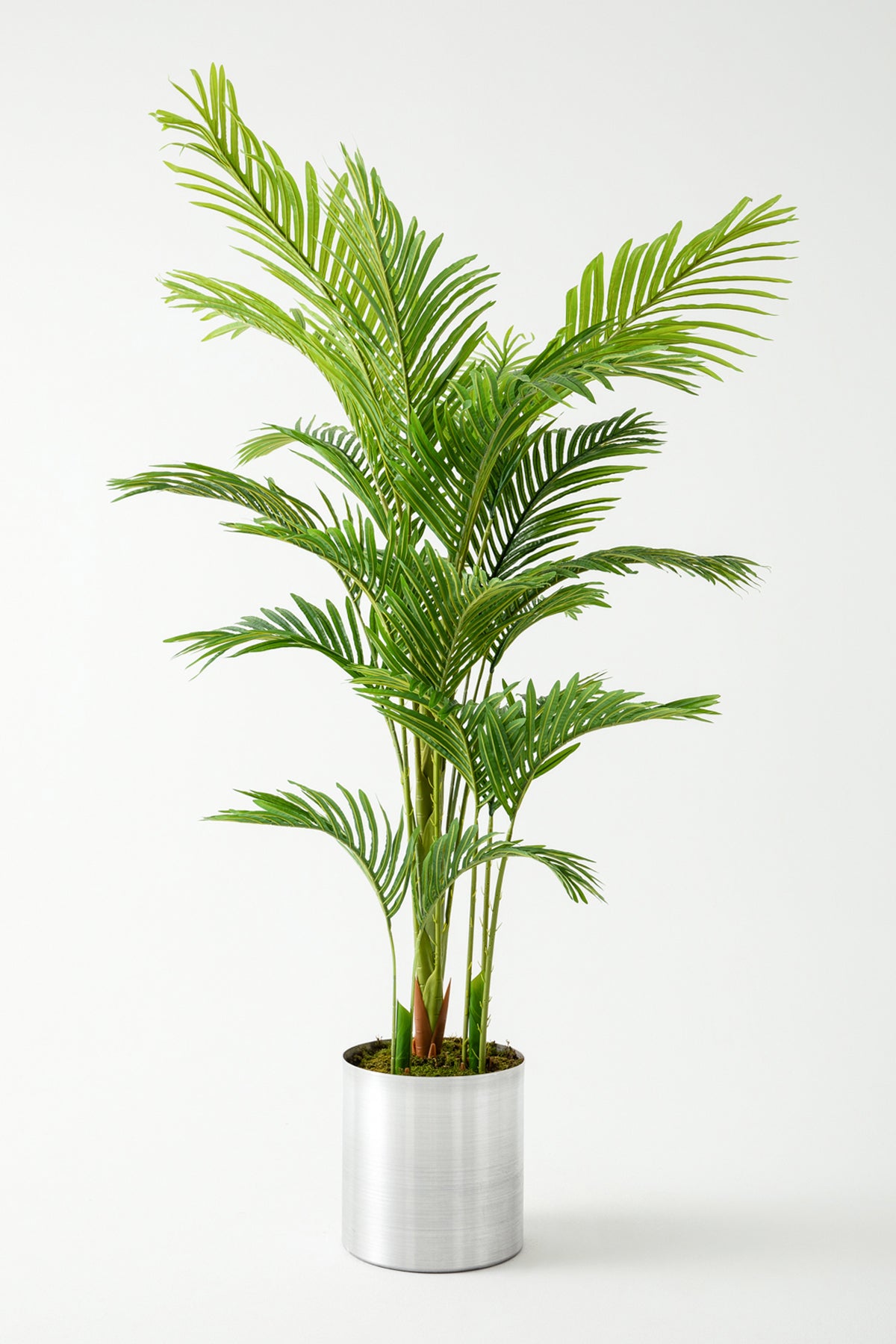 Yapay 3 Gövdeli Areka Palmiyesi