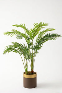 Yapay 3 Gövdeli Areka Palmiyesi