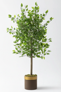 Yapay Benjamin Ağacı