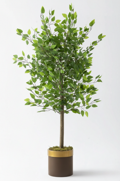 Yapay Benjamin Ağacı