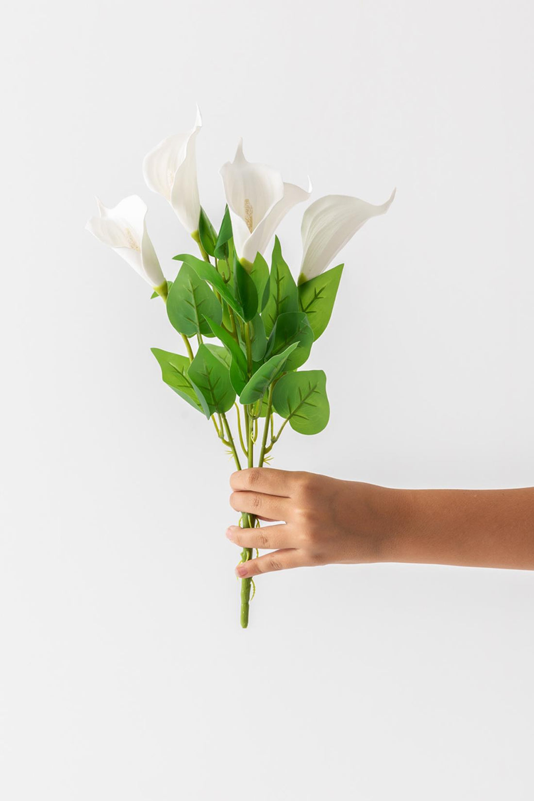 5 Dal Islak Lateks Yapraklı Lüx Gala Demeti