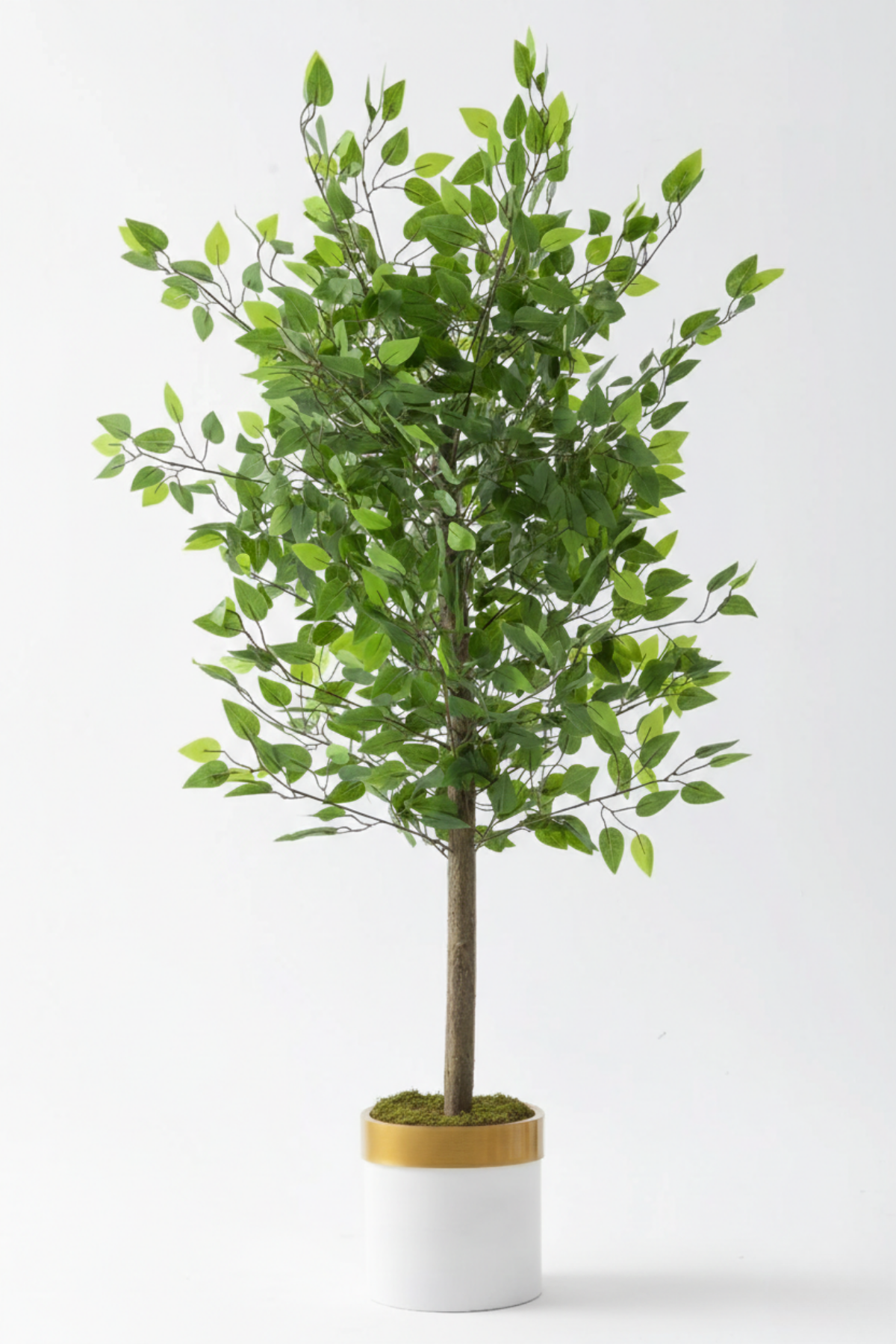 Yapay Benjamin Ağacı