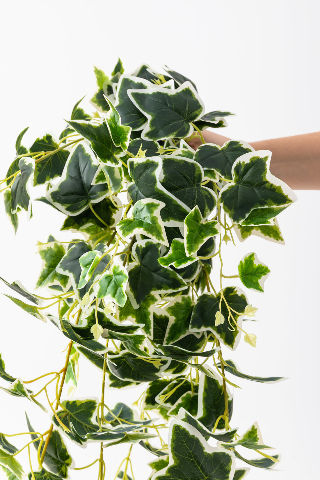 Yapay Hedera Sarmaşık 100 Cm 9 Dal Yeşil Beyaz