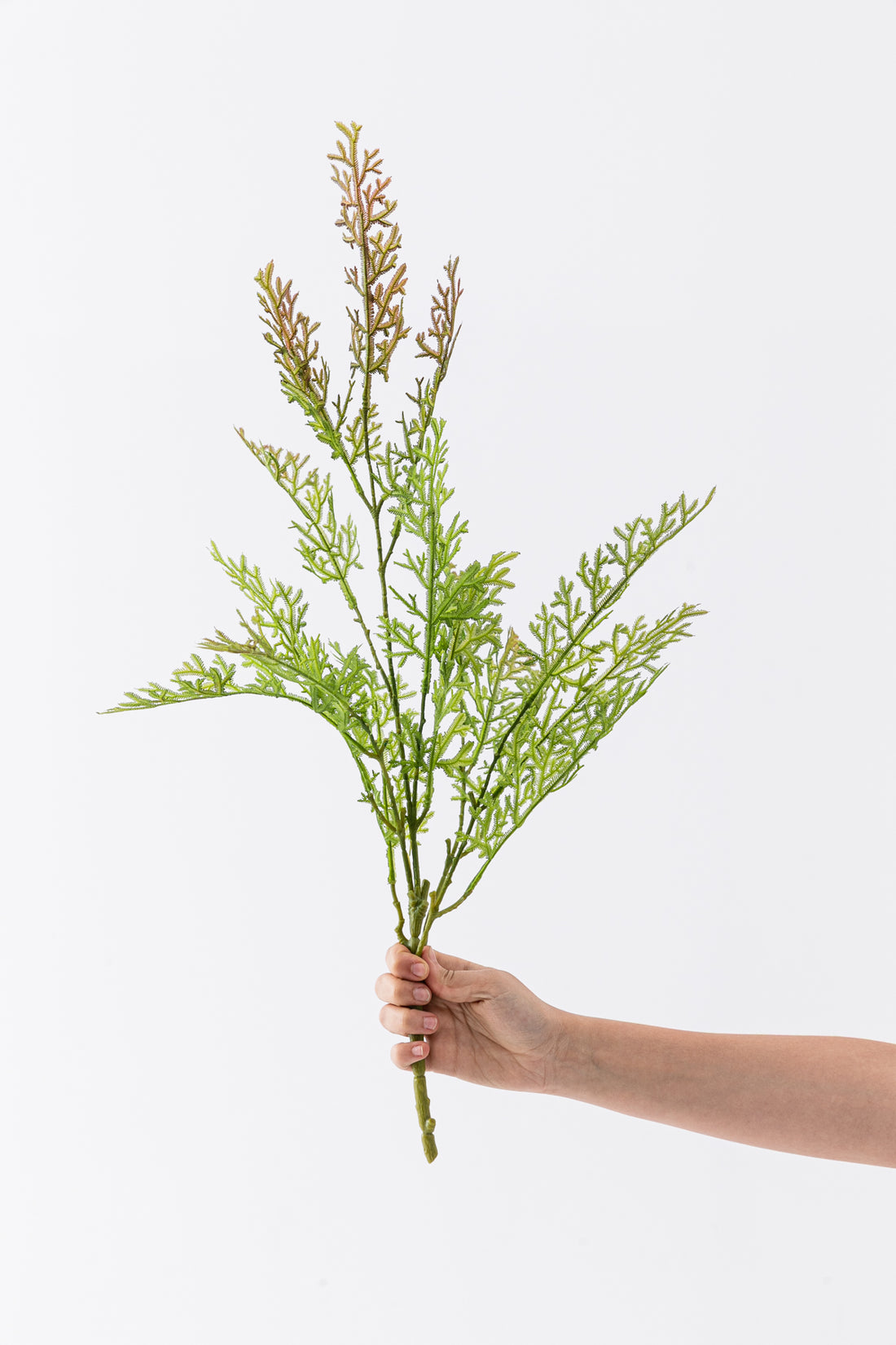 Yapay Yeşillik 75 cm 16 Dal
