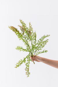 Yapay Yeşillik 75 cm 16 Dal