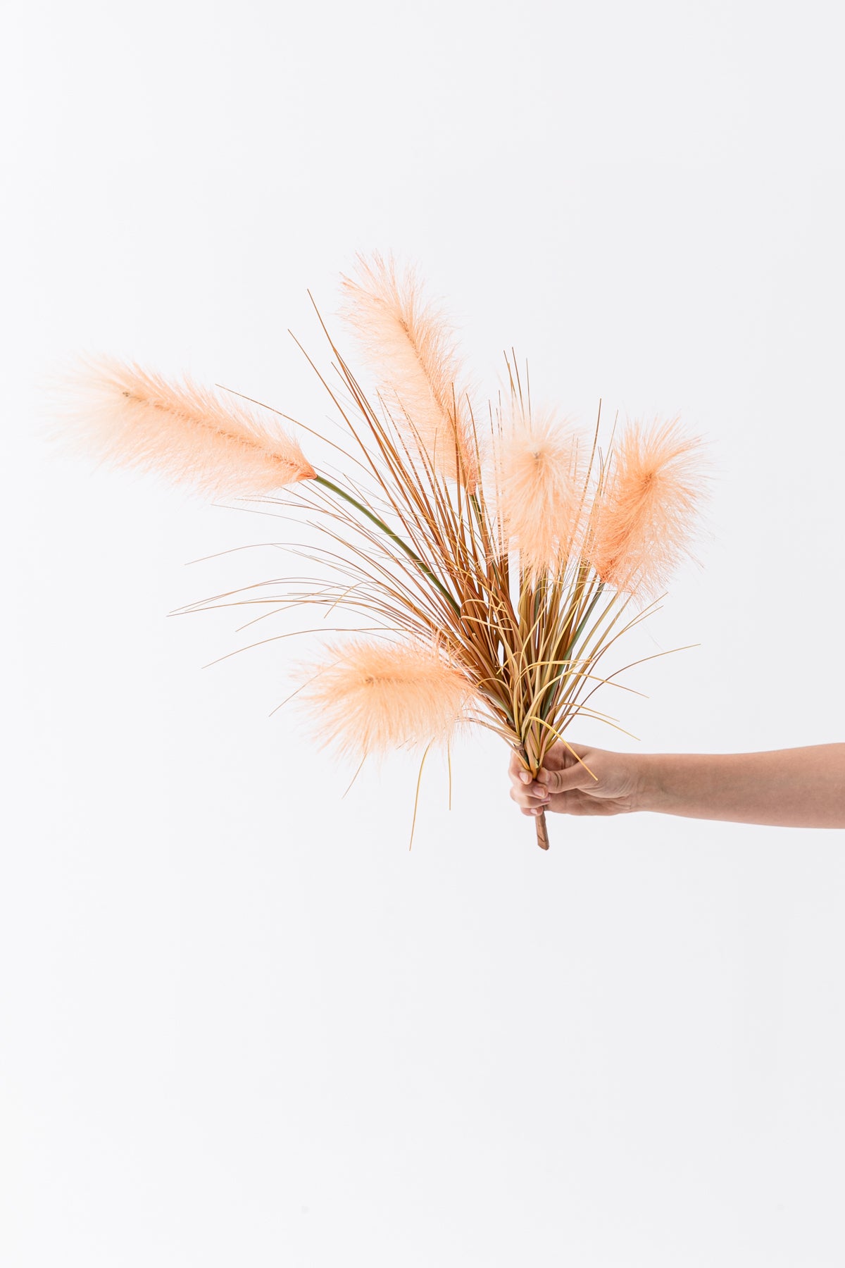 Yapay Pampas Saz Demeti 100 Cm 5 Dal