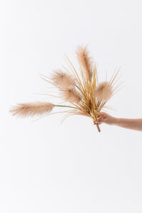 Yapay Pampas Saz Demeti 100 Cm 5 Dal