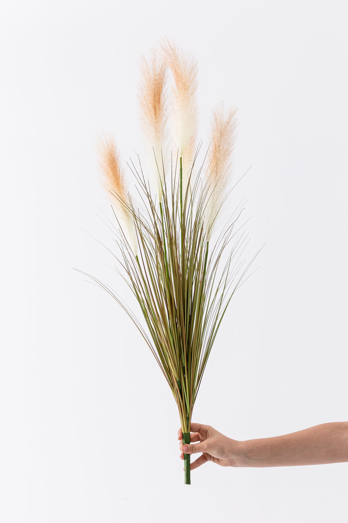 Yapay Pampas Saz Demeti 100 Cm 5 Dal