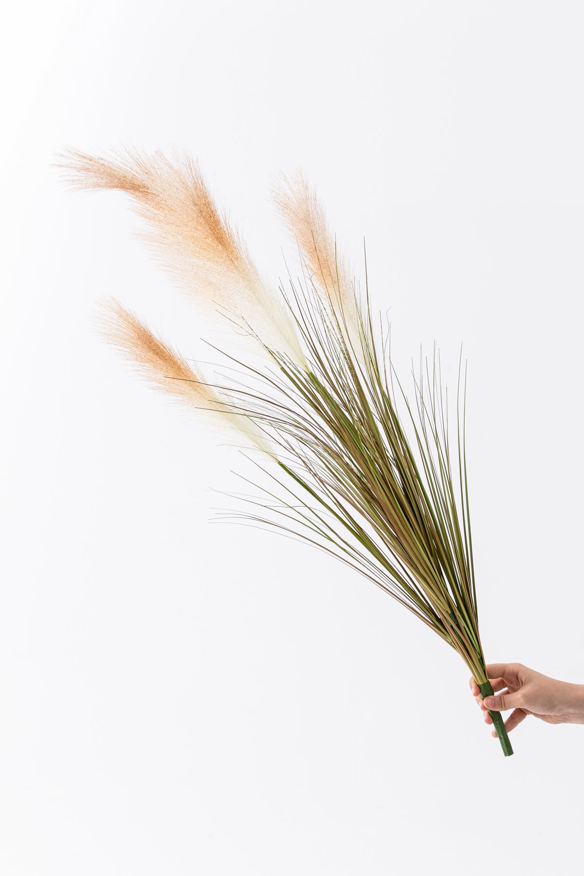 Yapay Pampas Saz Demeti 100 Cm 5 Dal