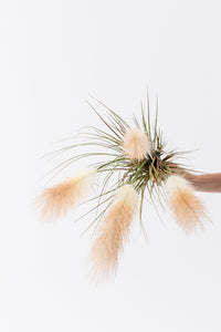 Yapay Pampas Saz Demeti 100 Cm 5 Dal